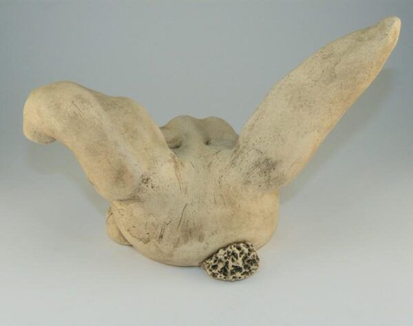 Hase (#1) – Bild 4