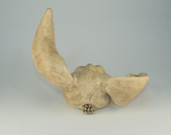Hase (#2) – Bild 4