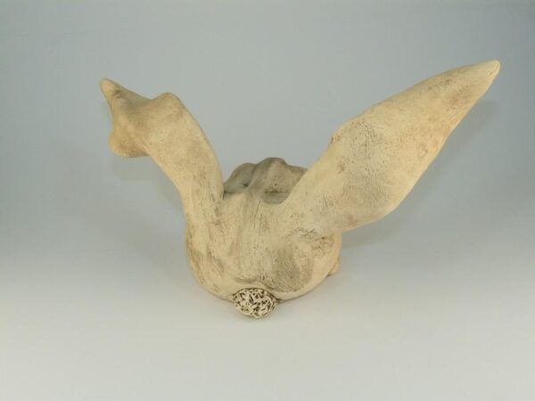 Hase (#3) – Bild 3